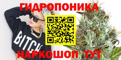 винт Краснодар